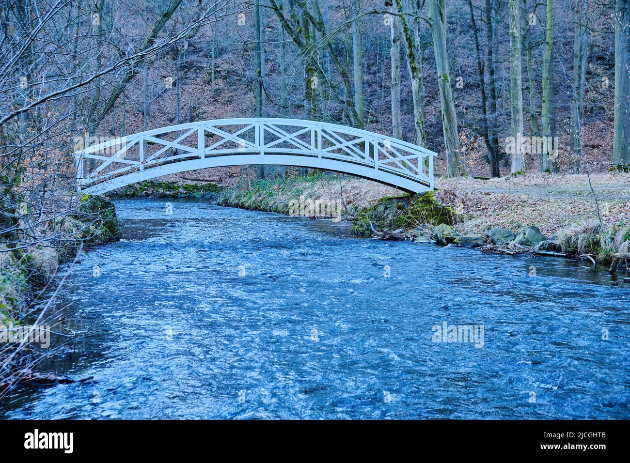 Seifersdorfer Tal, Wachau, Sachsen, Deutschland: Holzbrücke über die große Röder im Park des Seifersdorfer Tals. Stockfoto