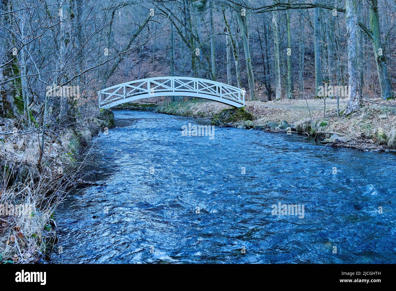 Seifersdorfer Tal, Wachau, Sachsen, Deutschland: Holzbrücke über die große Röder im Park des Seifersdorfer Tals. Stockfoto