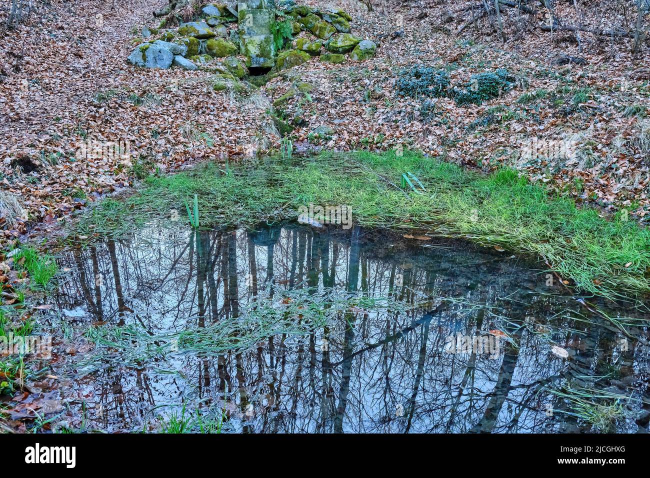 Seifersdorfer Tal, Wachau, Sachsen, Deutschland: Staffage in Form der Hügelquelle "leise Schöpfkelle" im Park des Seifersdorfer Tals. Stockfoto