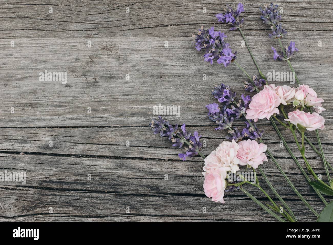 Strauß Lavendelblüten und kleine rosa Rosen auf altem Holztisch Hintergrund. Dekorativer Blumenrahmen, Webbanner mit Lavandula officinalis Stockfoto