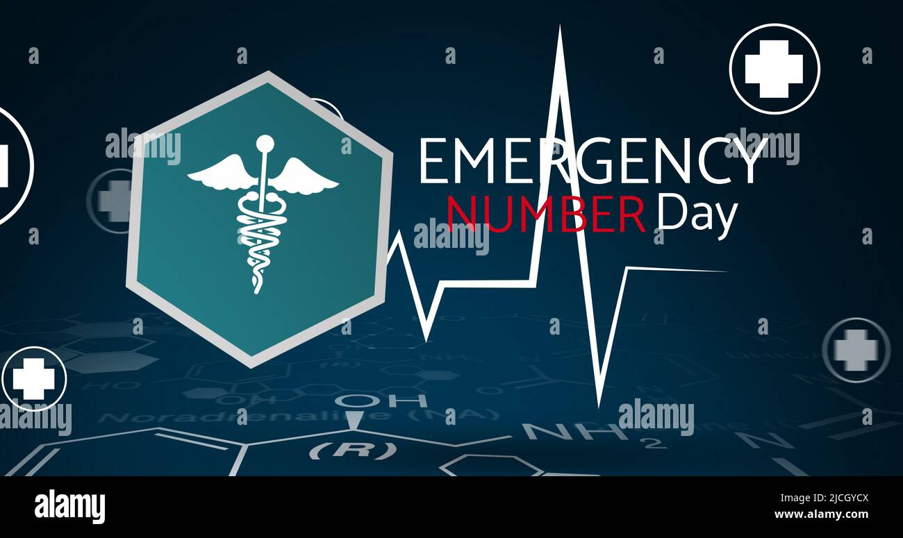 Vektorbild des Notrufnummer-Tages-Texts mit Pulsverlauf und medizinischen Zeichen Stockfoto