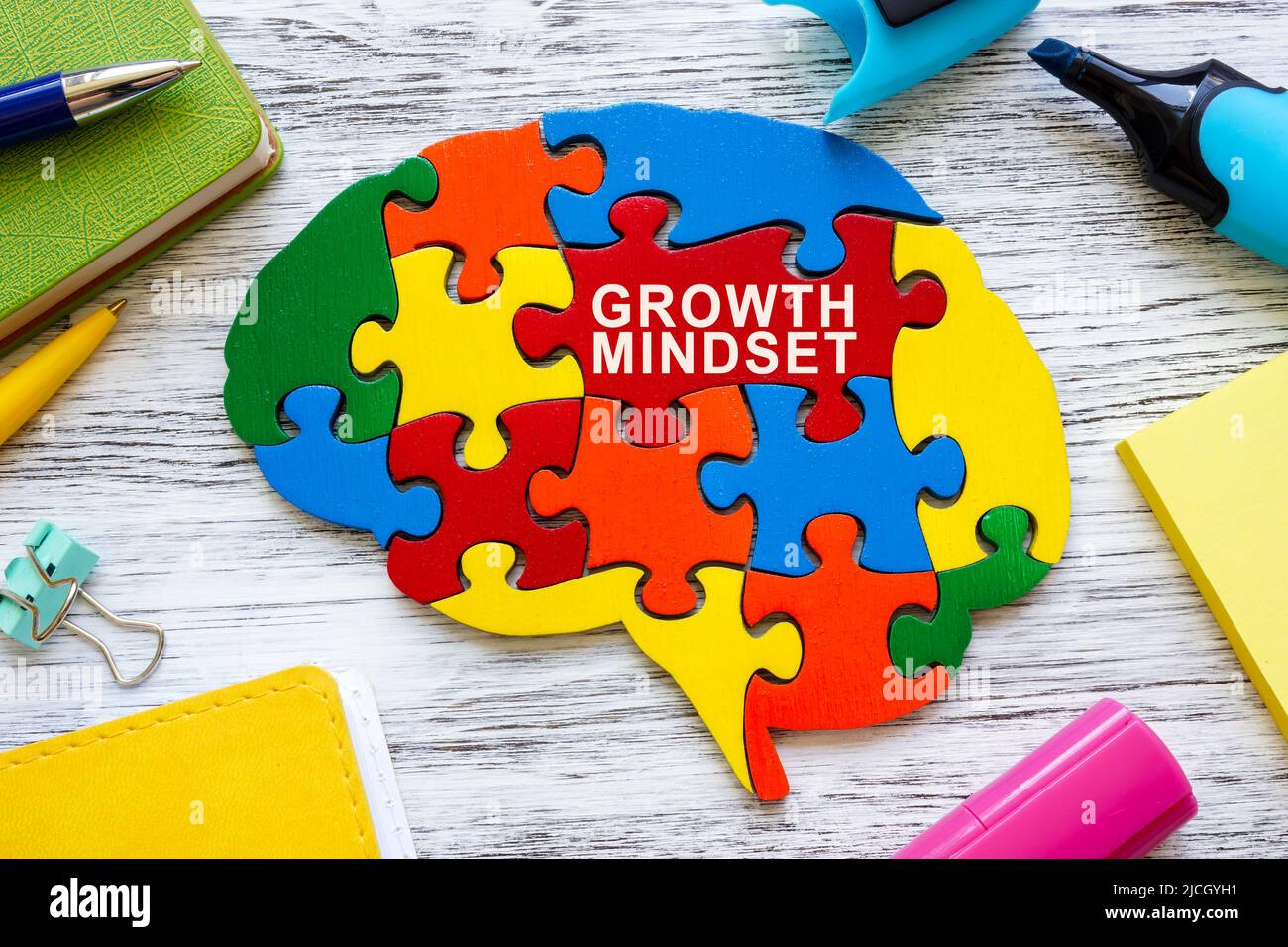 Konzept der Wachstumseinstellung. Gehirn aus farbigen Puzzleteilen. Stockfoto