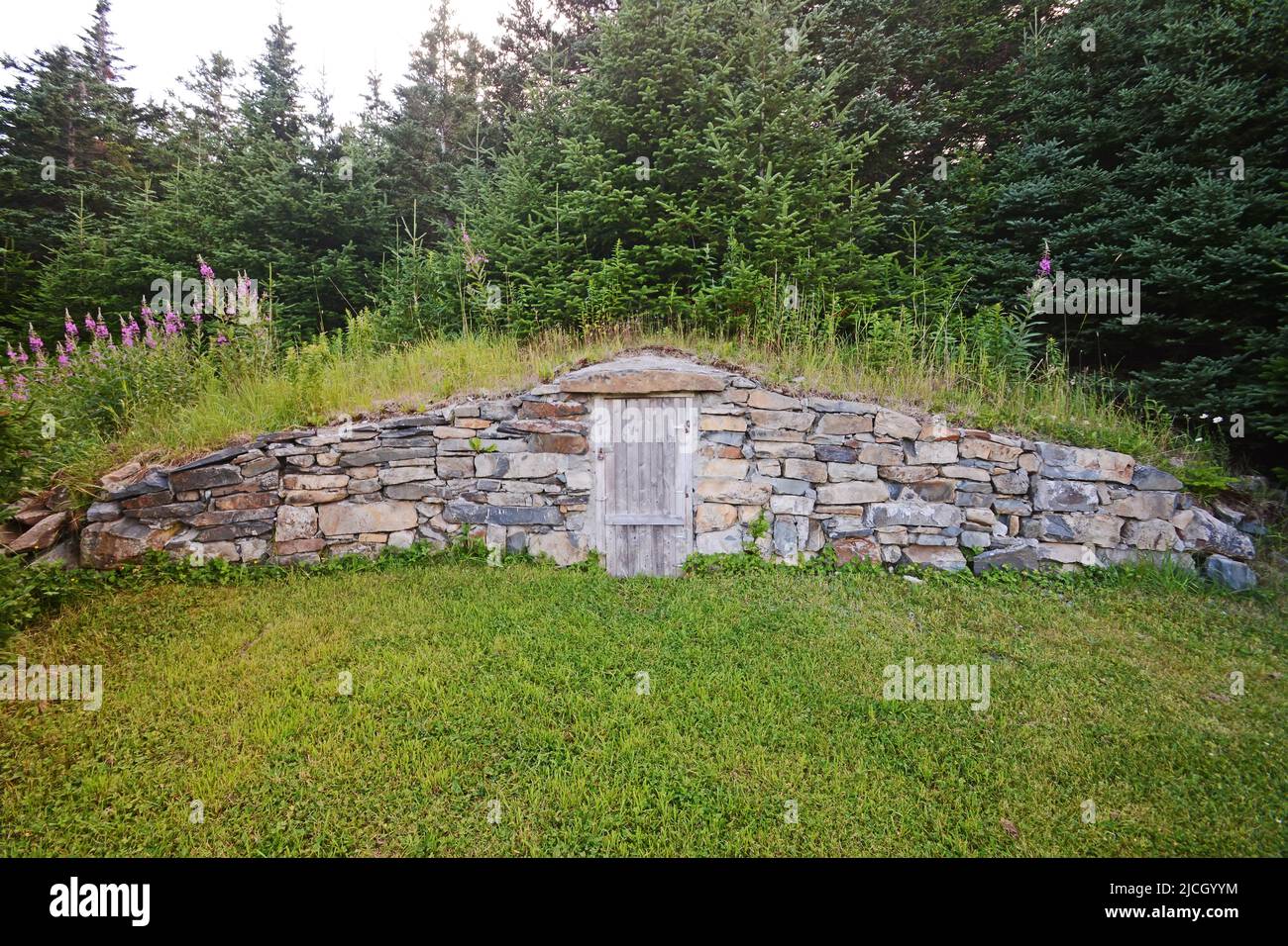 Root Cellar, Trinity, Neufundland Stockfoto