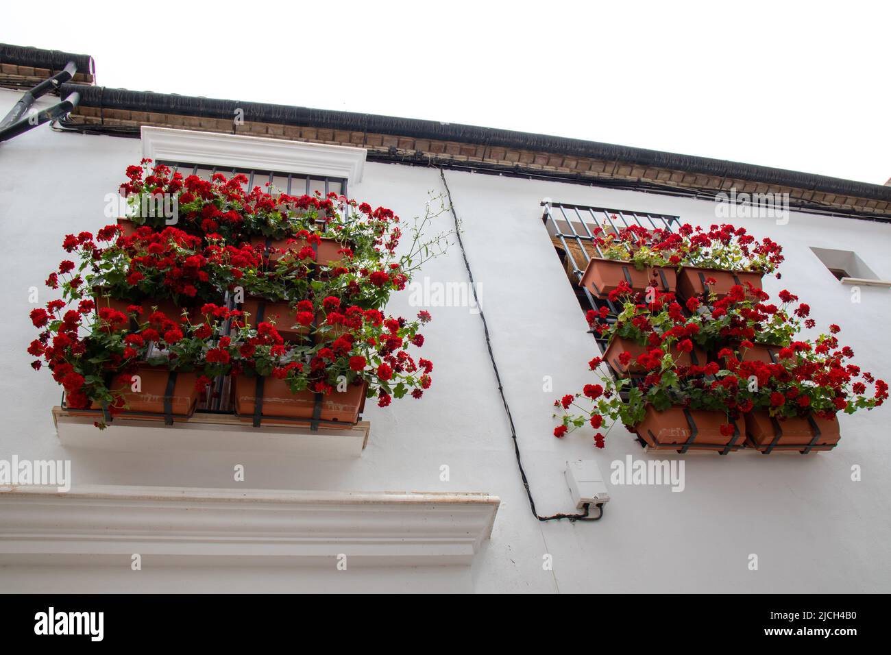 Balcones llenos de flores en primavera, Córdoba, España Stockfoto