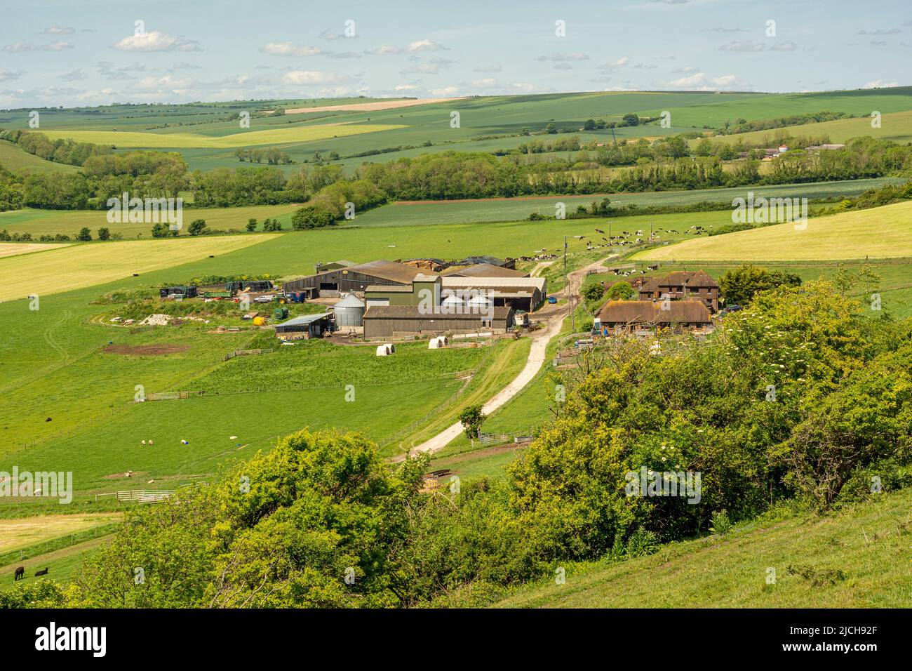 Tolmare Farm in der South Downs National Park in der Nähe von Findon in West Sussex. Stockfoto