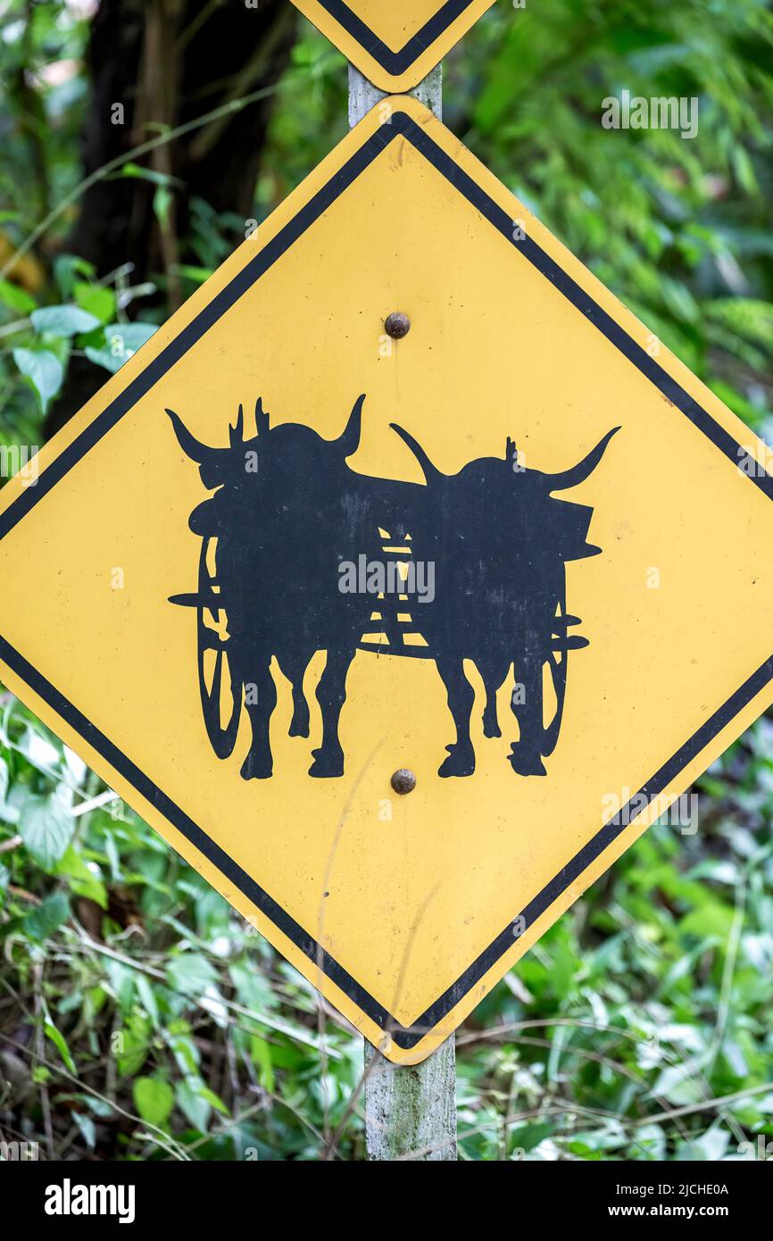 Bullen und Karren überqueren Schild, Thai Elephant Home Elefantenfarm, Keudchang Maetang, Chiang Mai, Thailand Stockfoto