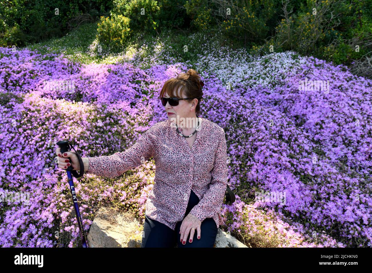 Touristen ruhen neben der wilden Flora Drosanthemum floribundum oder Eispflanze oder Tau Blume wächst wild entlang Küstenweg in der Nähe von Tamariu in Spanien Stockfoto