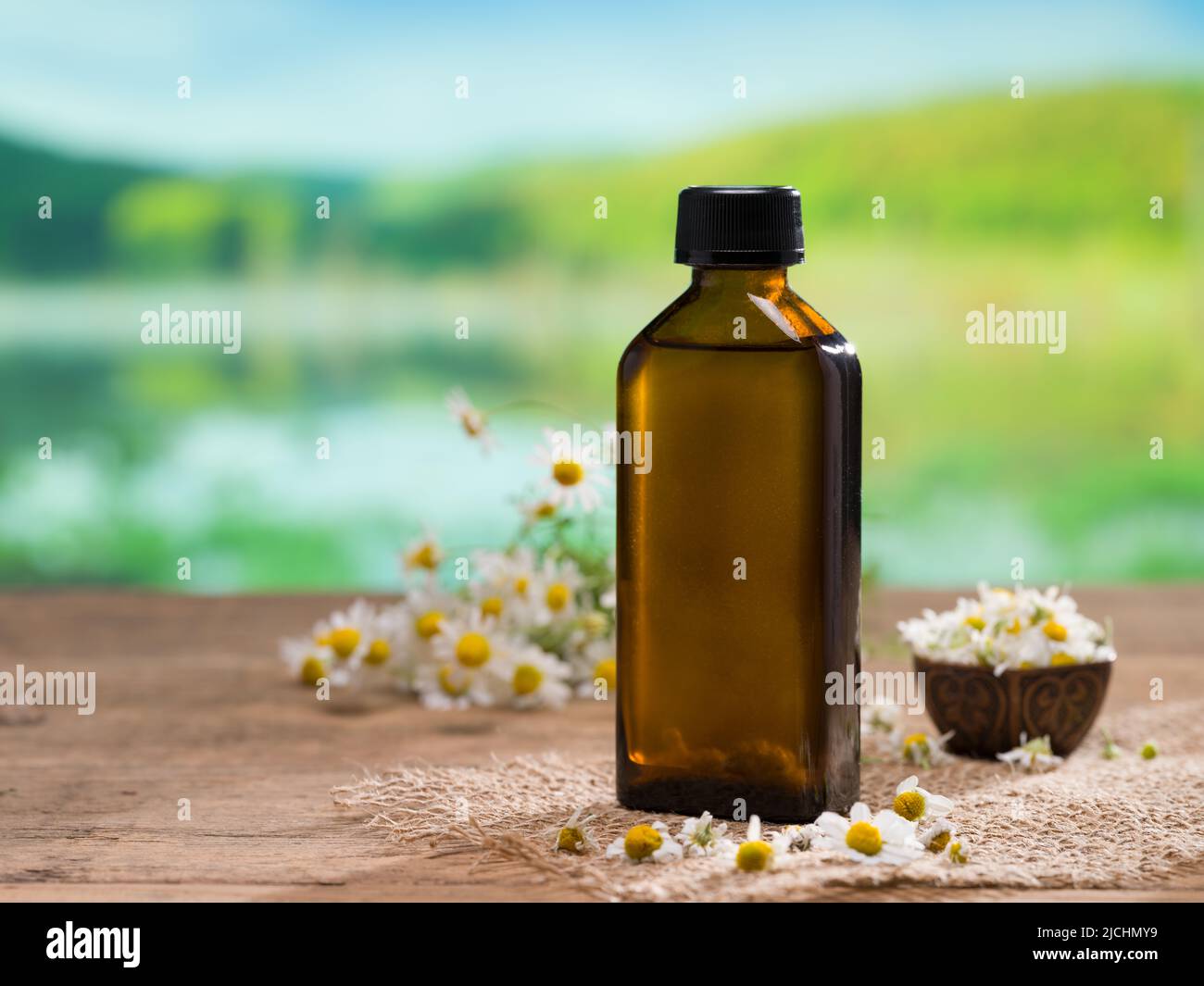 Flasche Kamillenöl auf dem Tisch am See. Ätherische Öle von natürlichen Pflanzen und Blumen. Stockfoto