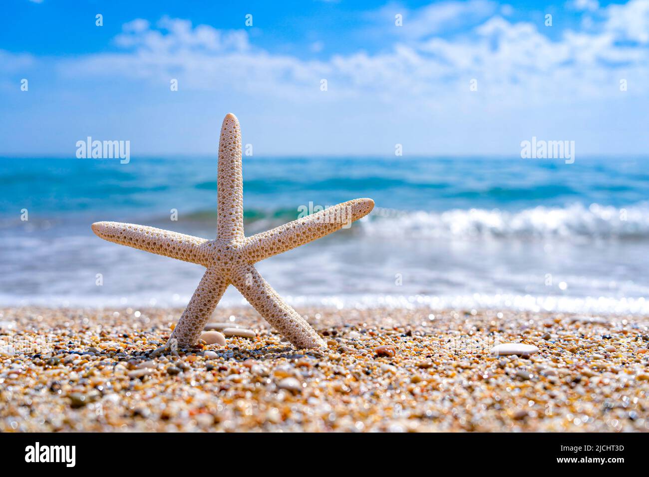 Seesterne an einem schönen Sandstrand im Mittelmeer Stockfoto
