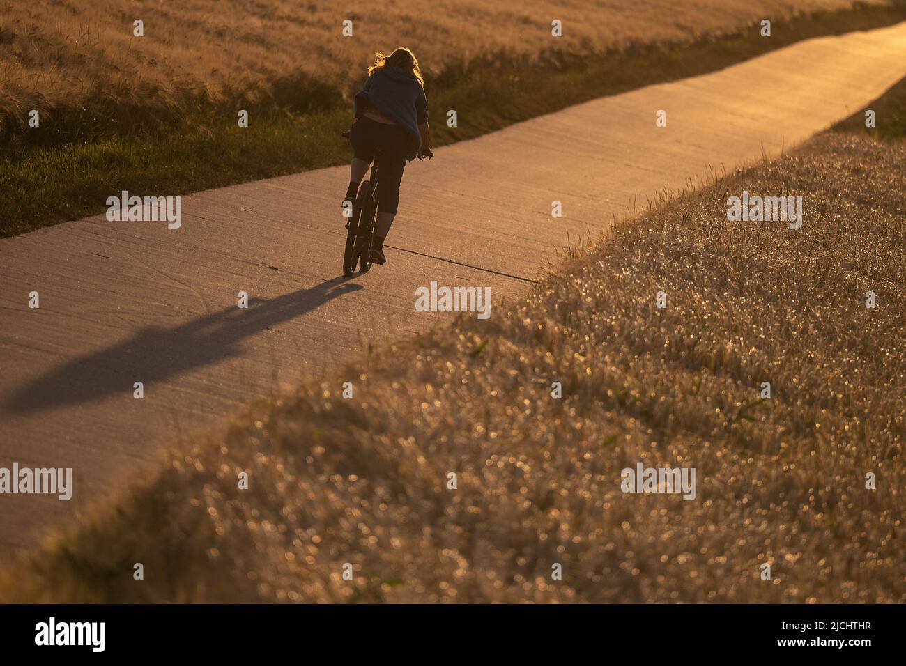 Oberursel, Deutschland. 13.. Juni 2022. Eine Frau fährt mit dem Fahrrad auf  einem Weg zwischen zwei Feldern im Licht der untergehenden Sonne. Quelle:  Sebastian Gollnow/dpa/Alamy Live News Stockfotografie - Alamy