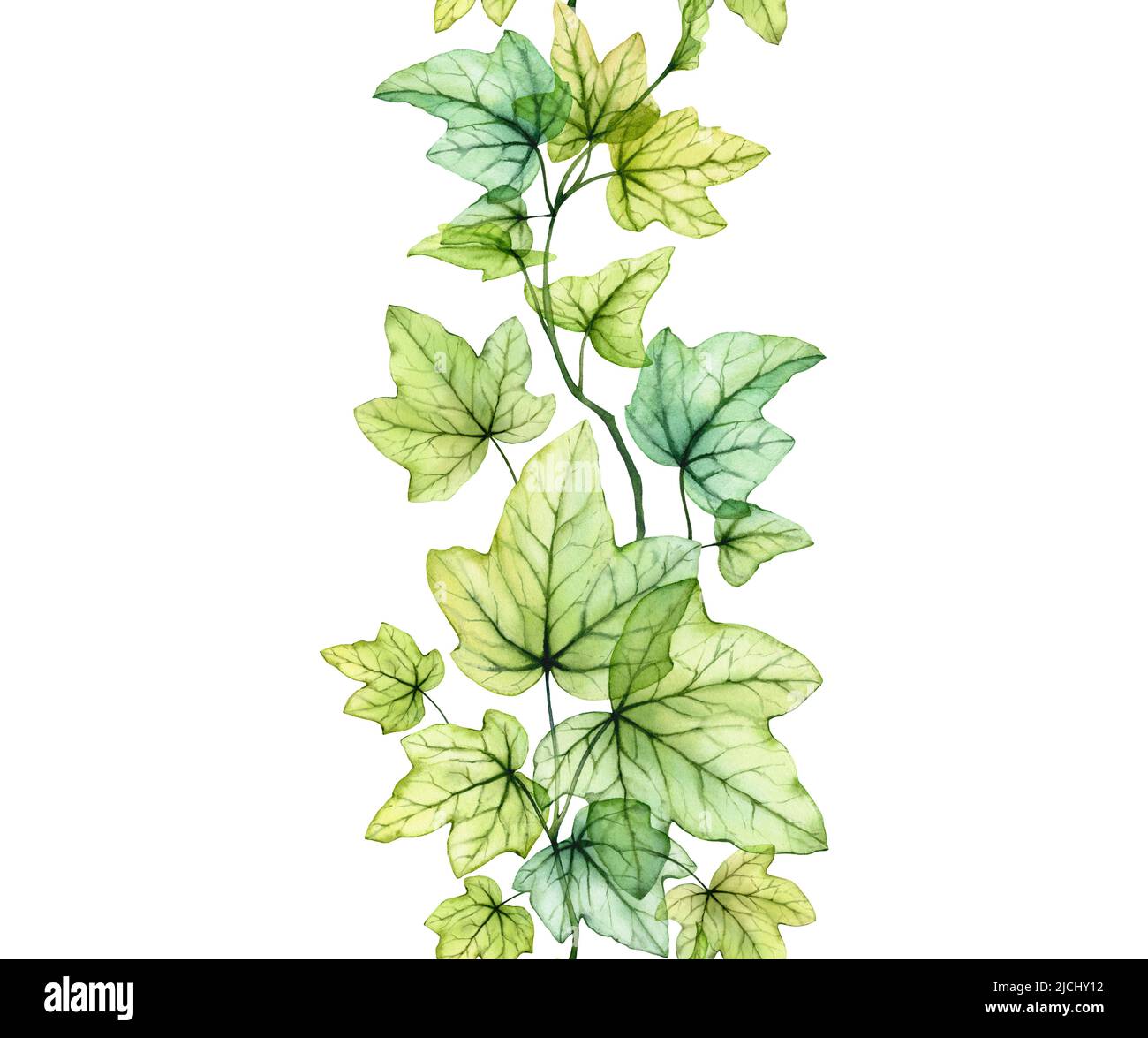 Aquarell Efeu Pflanze Stockfotografie - Alamy
