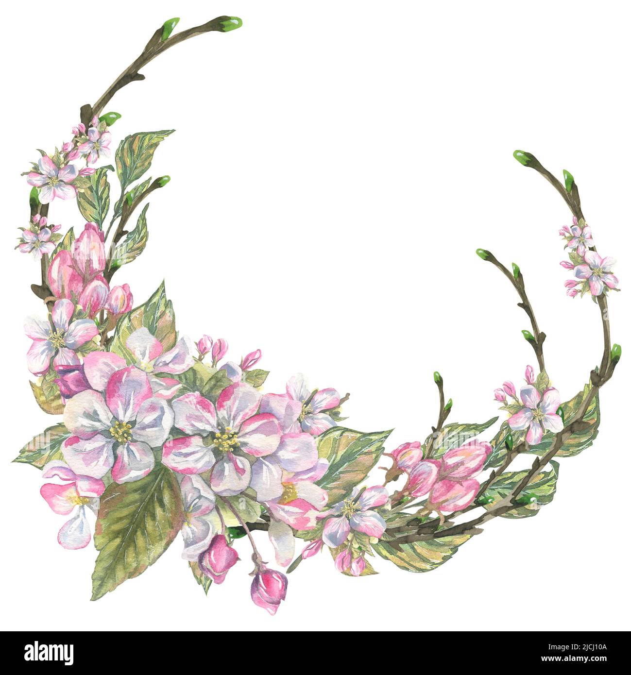 Ein runder Rahmen, ein Kranz aus Zweigen, Blumen, Blättern, Knospen von Apfelblüten. Aquarelldarstellung. Für die Gestaltung von Postkarten, Plakaten, Einladungen Stockfoto
