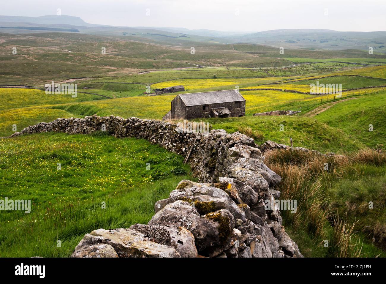 Wildblumen-Heuwiesen, Newby Head, in der Nähe von Ribblehead, Yorkshire Dales National Park, Großbritannien Stockfoto