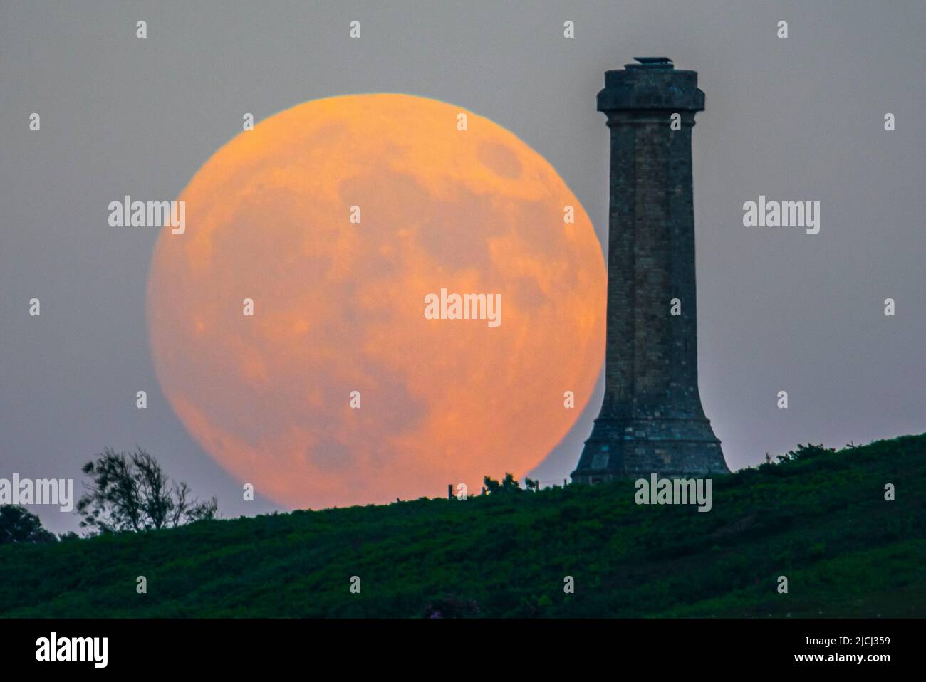 Portesham, Dorset, Großbritannien. 13.. Juni 2022. Wetter in Großbritannien. Der fast volle Strawberry Super Moon leuchtet orange, als er sich hinter dem Hardy Monument in Portesham in Dorset erhebt. Das Denkmal wurde 1844 in Erinnerung an den Vizeadmiral Sir Thomas Masterman Hardy errichtet, der Flaggenkapitän der HMS Victory bei der Schlacht von Trafalgar war. Bildnachweis: Graham Hunt/Alamy Live News Stockfoto