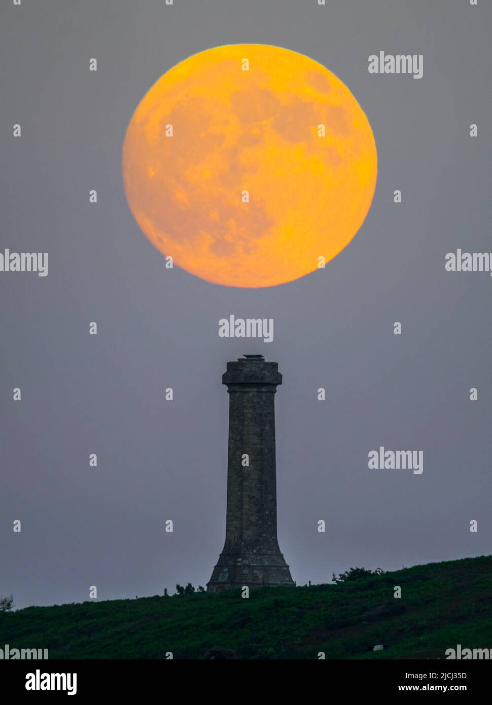 Portesham, Dorset, Großbritannien. 13.. Juni 2022. Wetter in Großbritannien. Der fast volle Strawberry Super Moon leuchtet orange, als er sich hinter dem Hardy Monument in Portesham in Dorset erhebt. Das Denkmal wurde 1844 in Erinnerung an den Vizeadmiral Sir Thomas Masterman Hardy errichtet, der Flaggenkapitän der HMS Victory bei der Schlacht von Trafalgar war. Bildnachweis: Graham Hunt/Alamy Live News Stockfoto