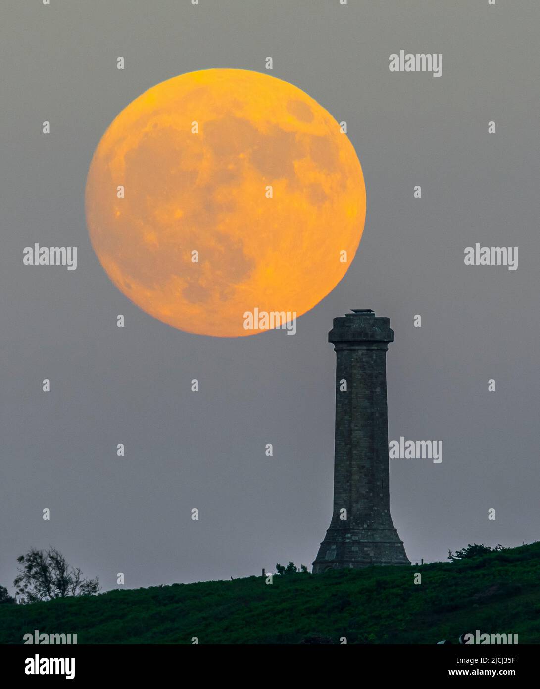 Portesham, Dorset, Großbritannien. 13.. Juni 2022. Wetter in Großbritannien. Der fast volle Strawberry Super Moon leuchtet orange, als er sich hinter dem Hardy Monument in Portesham in Dorset erhebt. Das Denkmal wurde 1844 in Erinnerung an den Vizeadmiral Sir Thomas Masterman Hardy errichtet, der Flaggenkapitän der HMS Victory bei der Schlacht von Trafalgar war. Bildnachweis: Graham Hunt/Alamy Live News Stockfoto