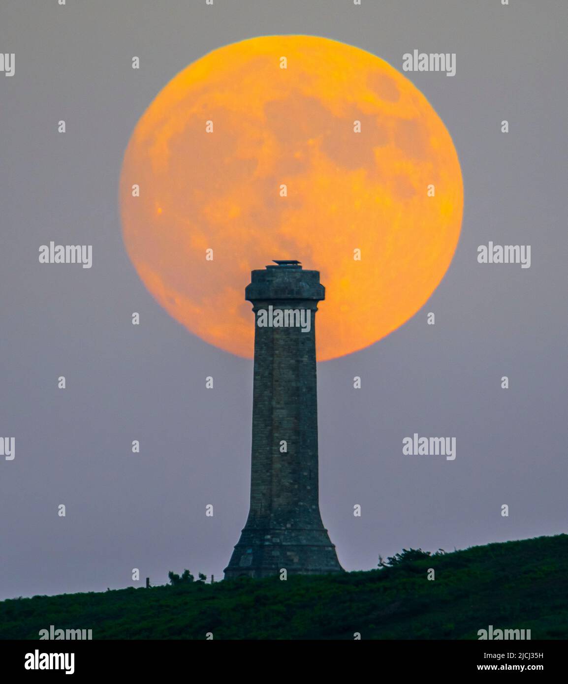 Portesham, Dorset, Großbritannien. 13.. Juni 2022. Wetter in Großbritannien. Der fast volle Strawberry Super Moon leuchtet orange, als er sich hinter dem Hardy Monument in Portesham in Dorset erhebt. Das Denkmal wurde 1844 in Erinnerung an den Vizeadmiral Sir Thomas Masterman Hardy errichtet, der Flaggenkapitän der HMS Victory bei der Schlacht von Trafalgar war. Bildnachweis: Graham Hunt/Alamy Live News Stockfoto