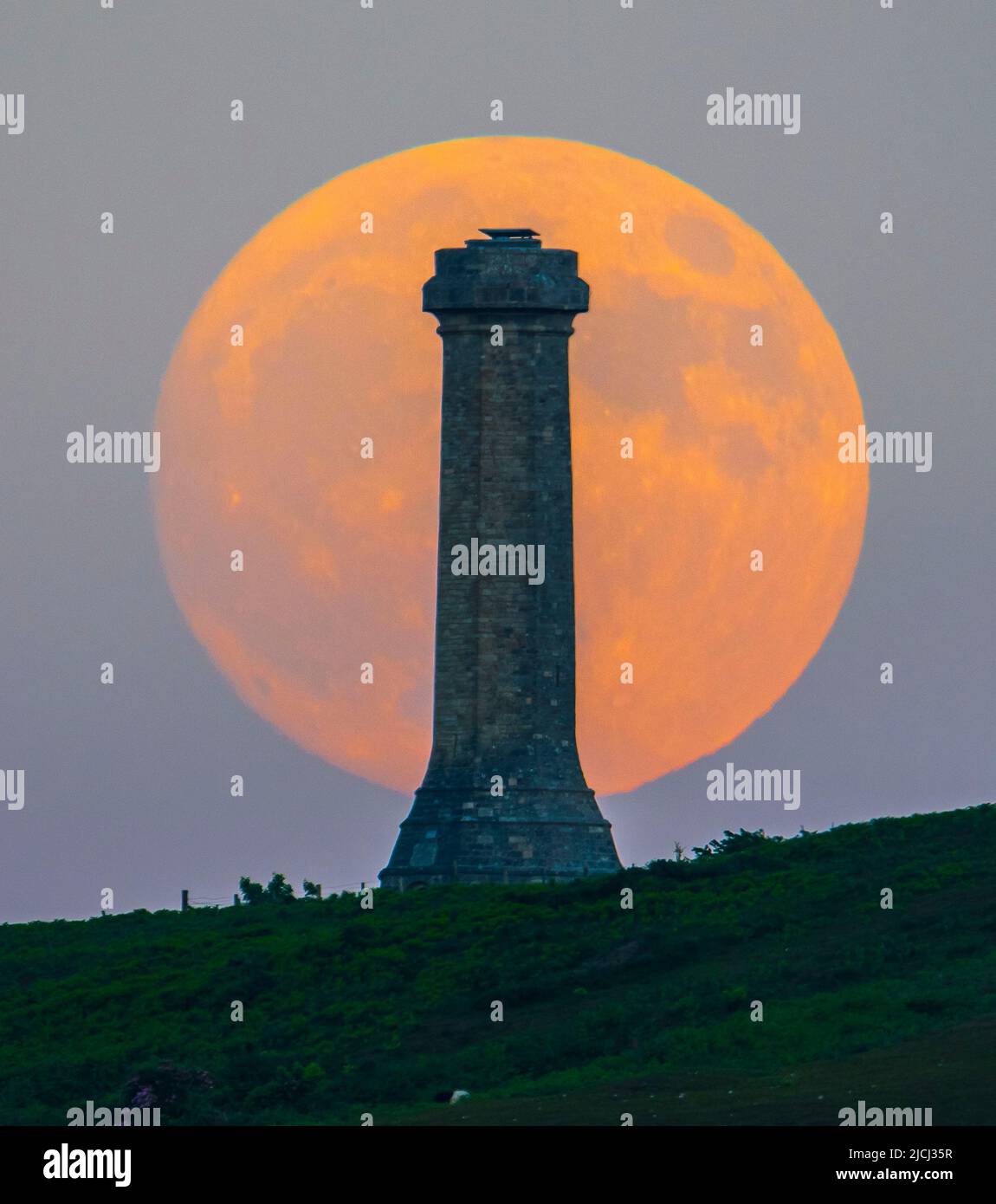 Portesham, Dorset, Großbritannien. 13.. Juni 2022. Wetter in Großbritannien. Der fast volle Strawberry Super Moon leuchtet orange, als er sich hinter dem Hardy Monument in Portesham in Dorset erhebt. Das Denkmal wurde 1844 in Erinnerung an den Vizeadmiral Sir Thomas Masterman Hardy errichtet, der Flaggenkapitän der HMS Victory bei der Schlacht von Trafalgar war. Bildnachweis: Graham Hunt/Alamy Live News Stockfoto