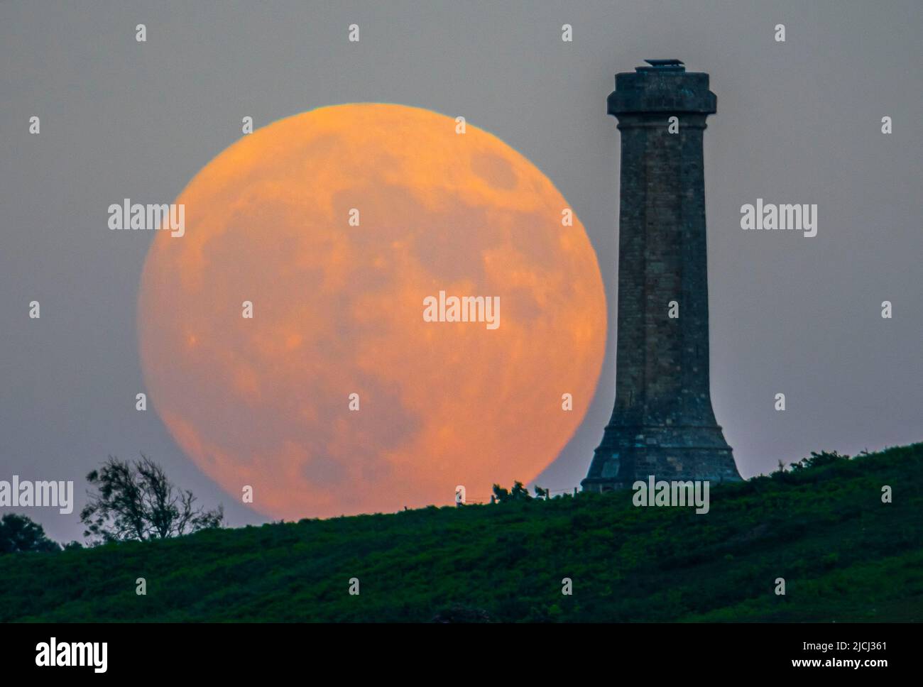 Portesham, Dorset, Großbritannien. 13.. Juni 2022. Wetter in Großbritannien. Der fast volle Strawberry Super Moon leuchtet orange, als er sich hinter dem Hardy Monument in Portesham in Dorset erhebt. Das Denkmal wurde 1844 in Erinnerung an den Vizeadmiral Sir Thomas Masterman Hardy errichtet, der Flaggenkapitän der HMS Victory bei der Schlacht von Trafalgar war. Bildnachweis: Graham Hunt/Alamy Live News Stockfoto