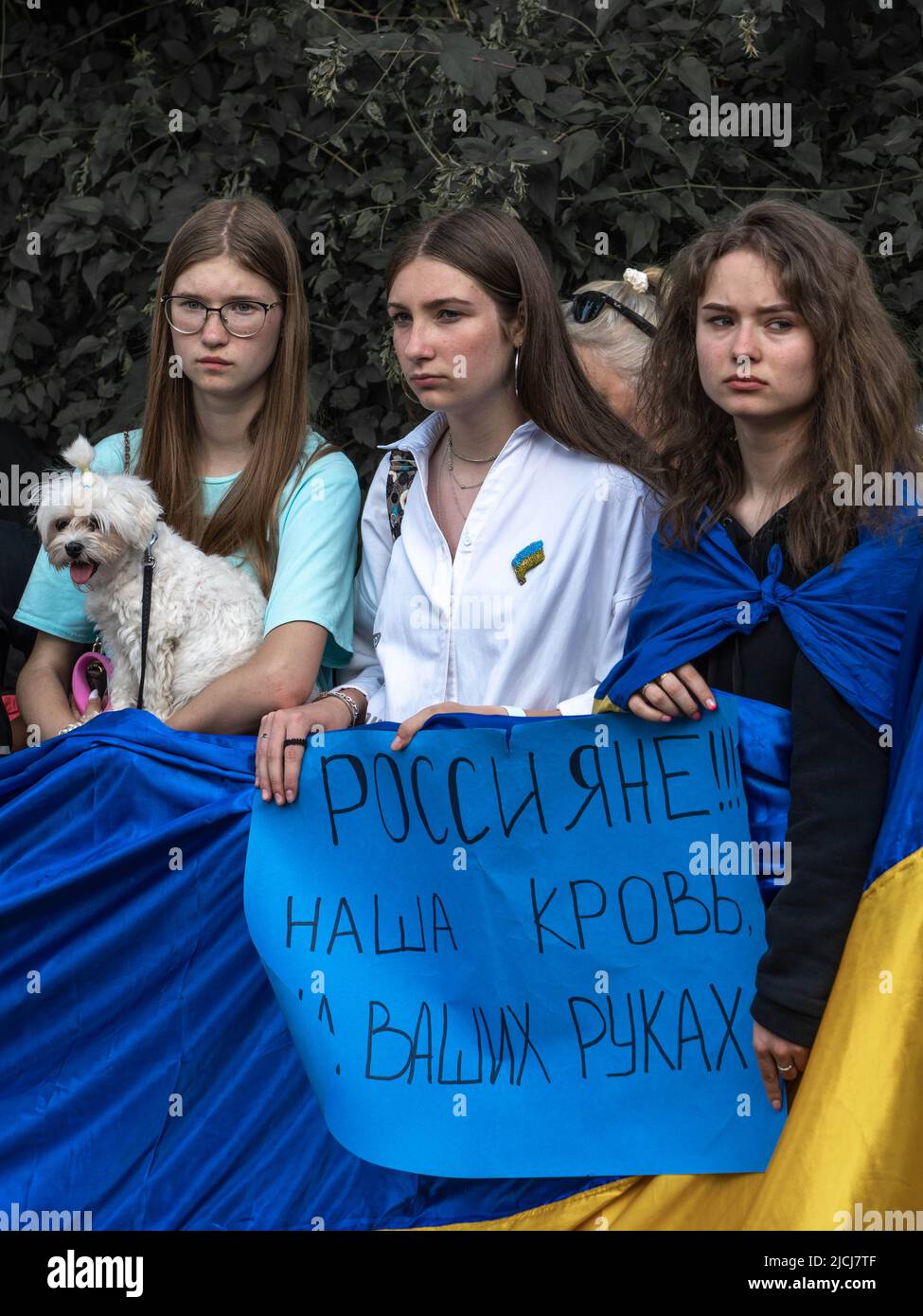 Sofia, Bulgarien, 13. Juni 2022: Drei Mädchen halten ukrainische Flagge und ein Banner Russen - unser Blut liegt auf Ihren Händen bei den Demonstrationsgegnern Stockfoto
