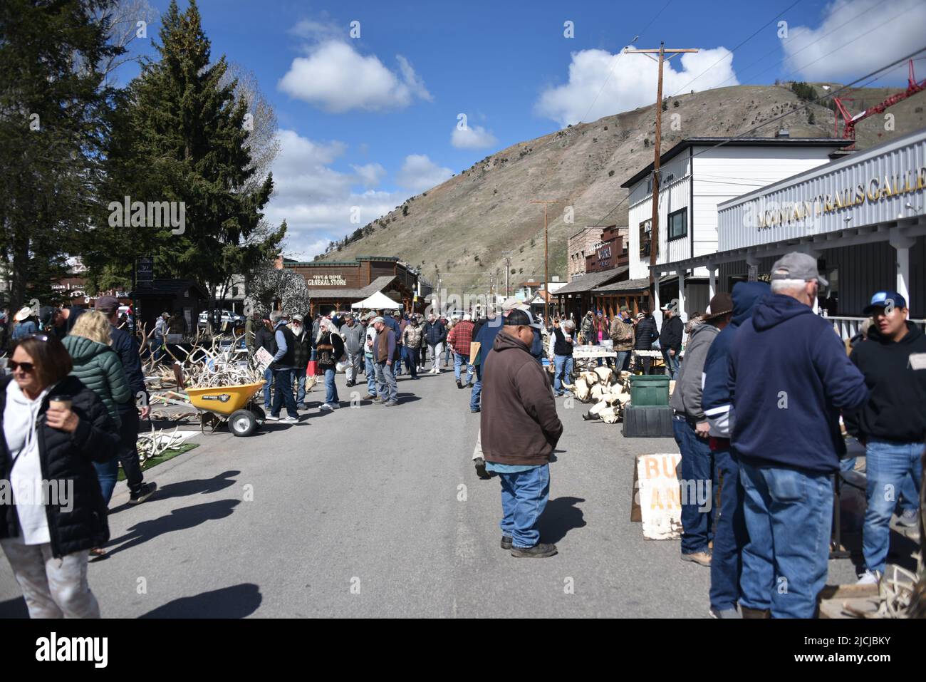 Jackson, WY. USA. 5/21/2022. Boy Scouts of America: Jährliche Auktion von Elch- und Elchgeweih plus Bisons-Schädel. Startpreis pro Pfund $18 Stockfoto