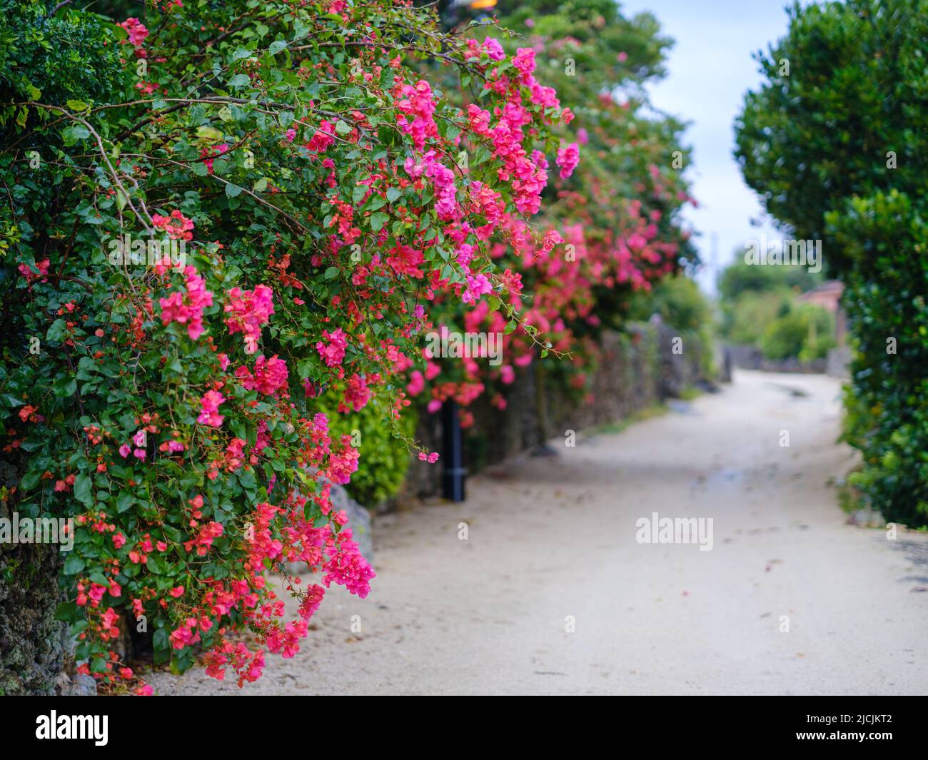 Stadtbild in Taketomi Insel Okinawa Präfektur, Japan Stockfoto