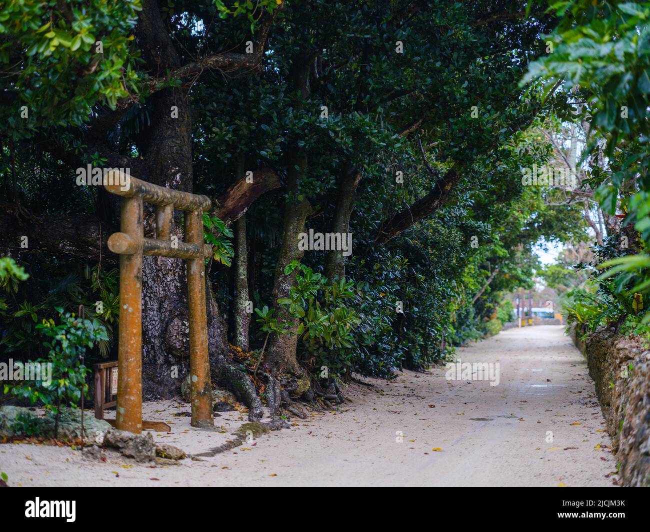 Stadtbild in Taketomi Insel Okinawa Präfektur, Japan Stockfoto