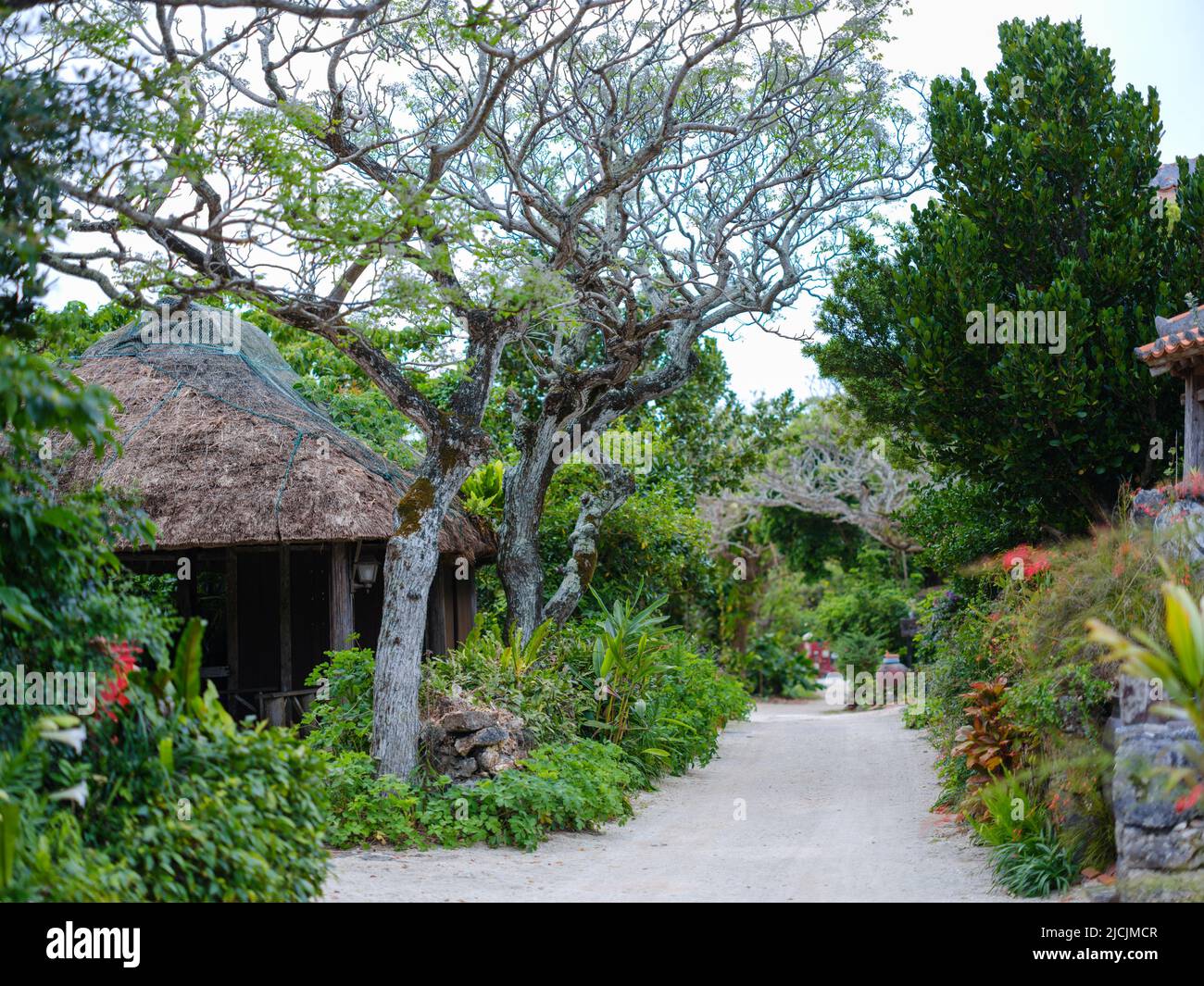 Stadtbild in Taketomi Insel Okinawa Präfektur, Japan Stockfoto