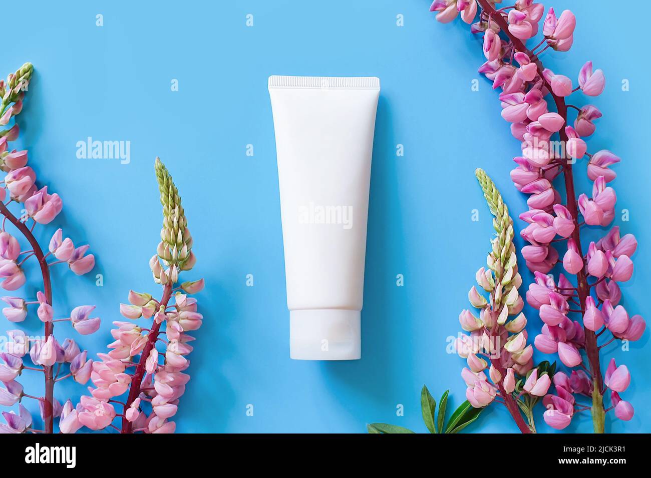 Weiße kosmetische Squeeze Tube ohne Marke und helle Lupinenblüten auf blauem Hintergrund. Modell, Vorlage. Behälter für Körperlotion, Feuchtigkeitscreme, sh Stockfoto