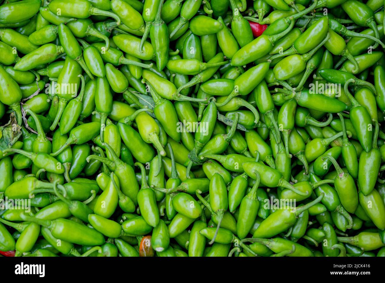 Gewürze : Ein paar würzige grüne Chili-Paprika isoliert auf weißem Hintergrund Stockfoto