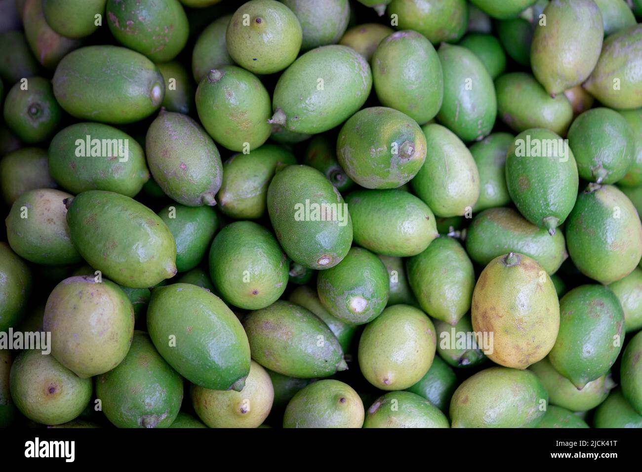 Saftig Grün Zitrone Limetten Grün Hintergrund Stockfoto