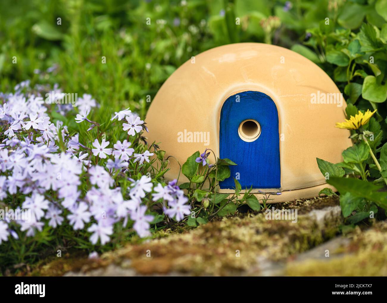 Niedliches Keramikhaus mit attraktiver blauer Tür zum Nisten von Hummeln auf einem Frühlingsgarten um Teppichflocken-Blumen. Stockfoto