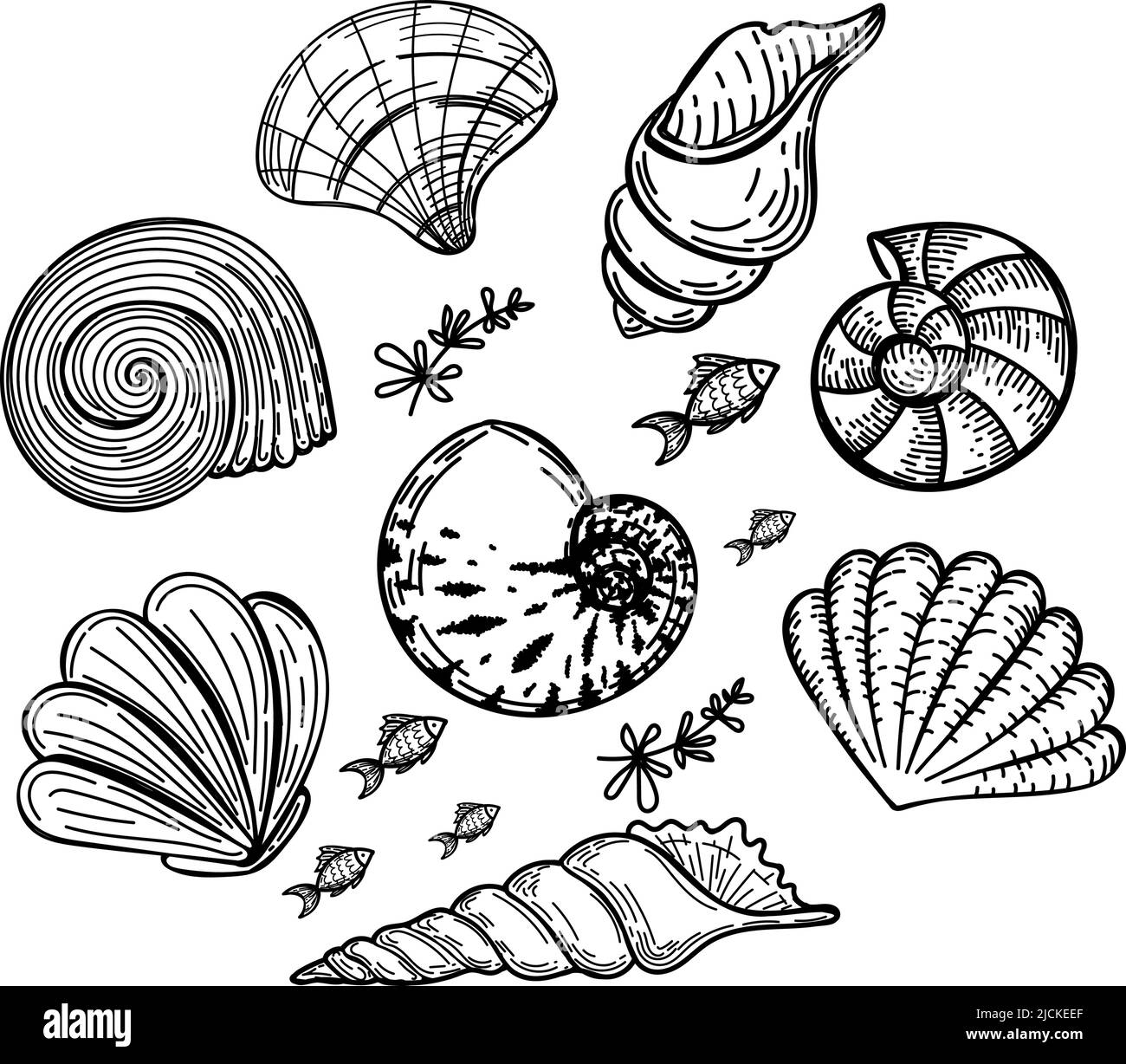 Set von Meereslebewesen in einem Kreis, handgezeichnet im Skizzenstil. Kreisförmige Rahmen aus Muscheln, Algen und kleinen Fischen. Sommergrußkarte Stock Vektor