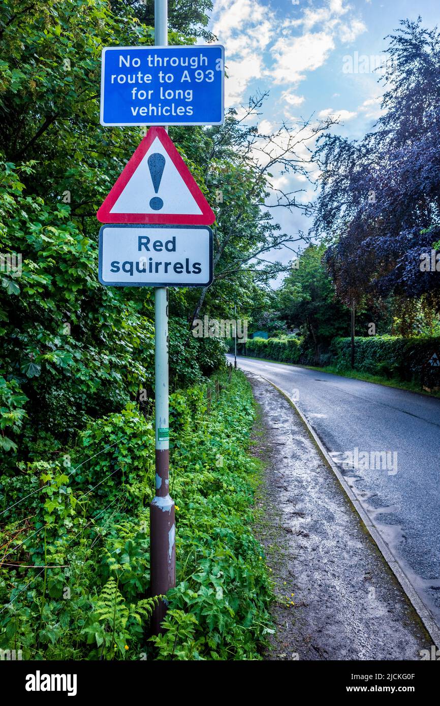 Vorsicht Rote Eichhörnchen Zeichen auf einer Straße in Pethrshire Schottland. Warnschild Des Roten Eichhörnchen. Stockfoto