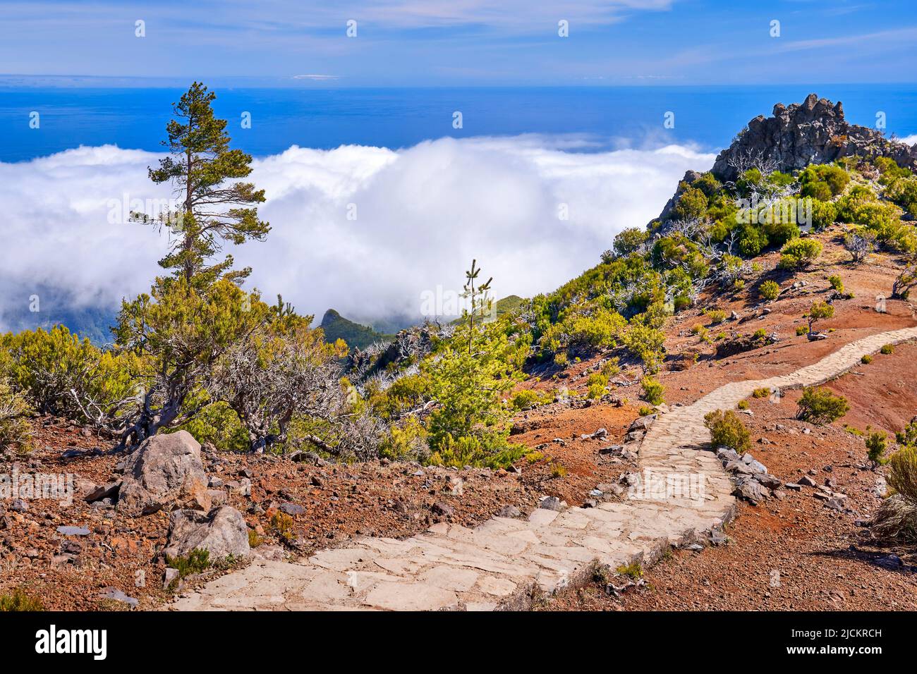 Wanderweg zum Pico Ruivo, Insel Madeira, Portugal Stockfoto