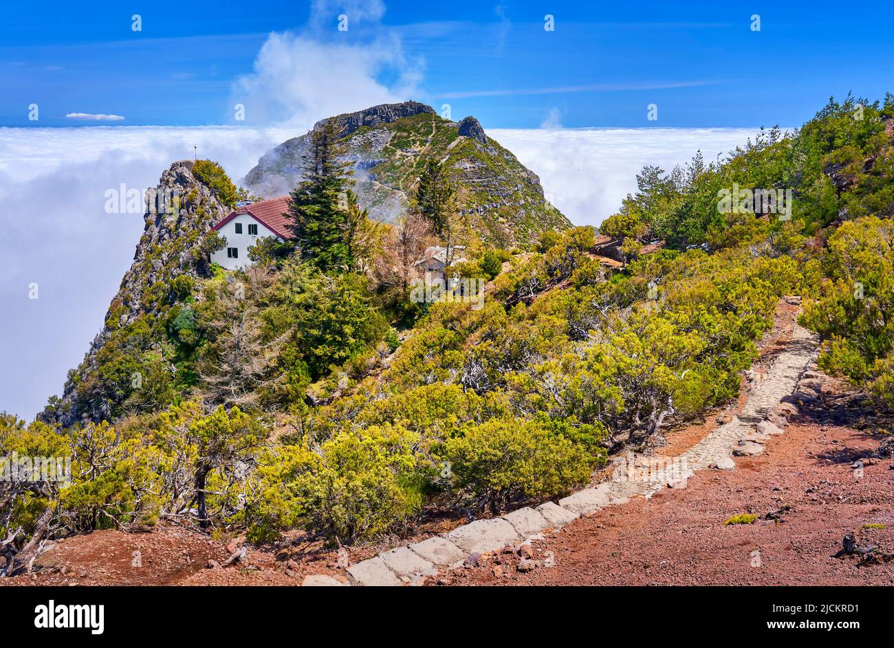 Wanderweg zum Pico Ruivo, Insel Madeira, Portugal Stockfoto