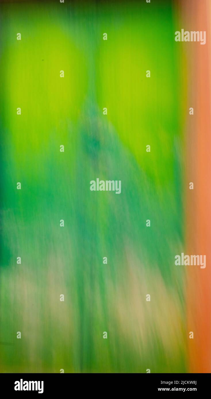 Abstrakte Unschärfe-Design der lebendigen grünen Tür weichen Fokus besonderen Effekt durch lange Belichtungszeit und absichtliche Kamerabewegung schaffen malerische erstellt Stockfoto