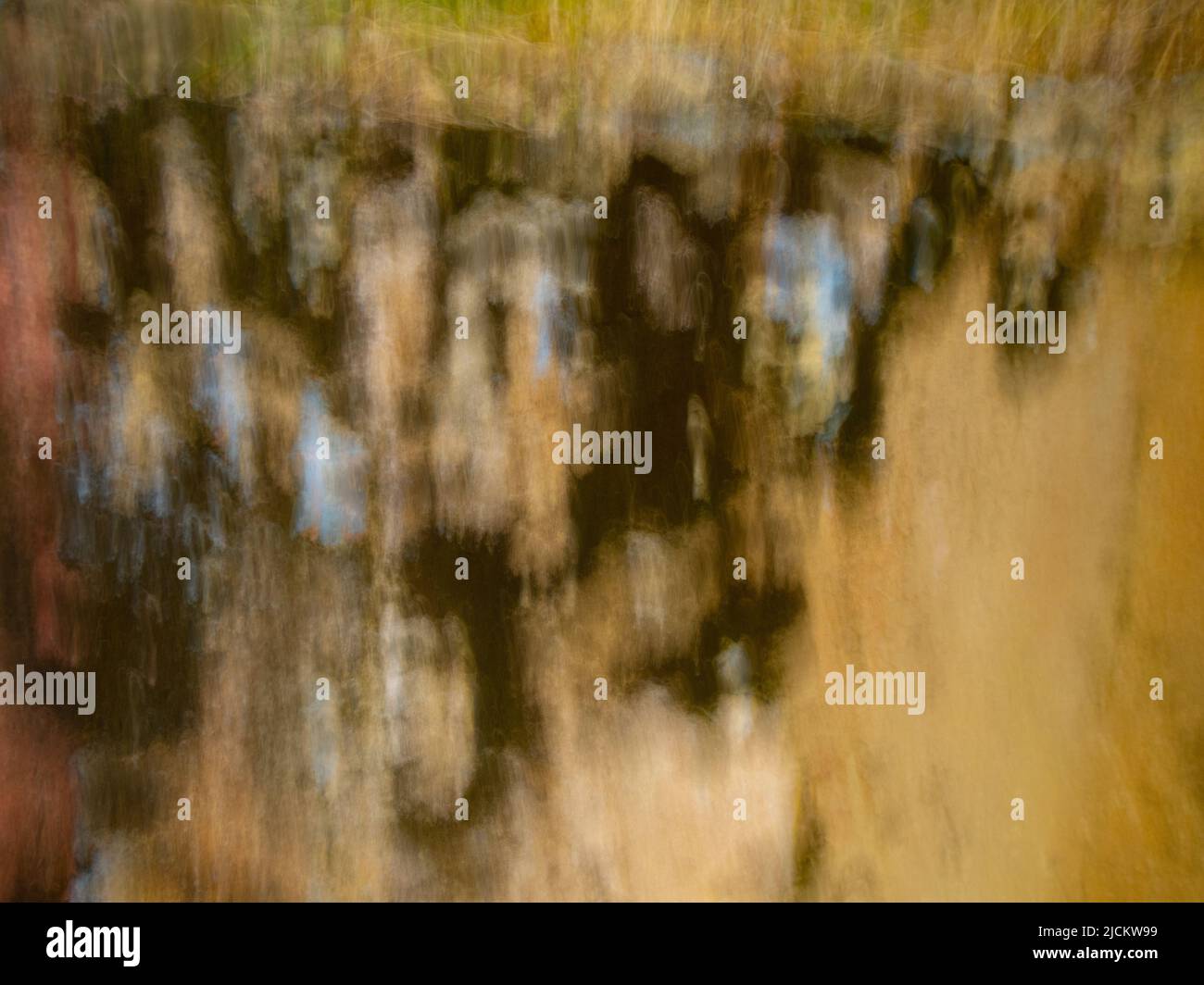 Hintergrund im abstrakten Design mit beigefarbenem Schwarz und blauem Weichzeichner, der durch Langzeitbelichtung und absichtliche Kamerabewegungen entsteht Stockfoto