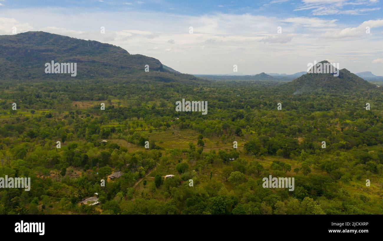 Draufsicht auf rustikale Landschaft mit landwirtschaftlichen Flächen und Bauernhöfen zwischen Bergen und Wäldern. Sri Lanka. Stockfoto