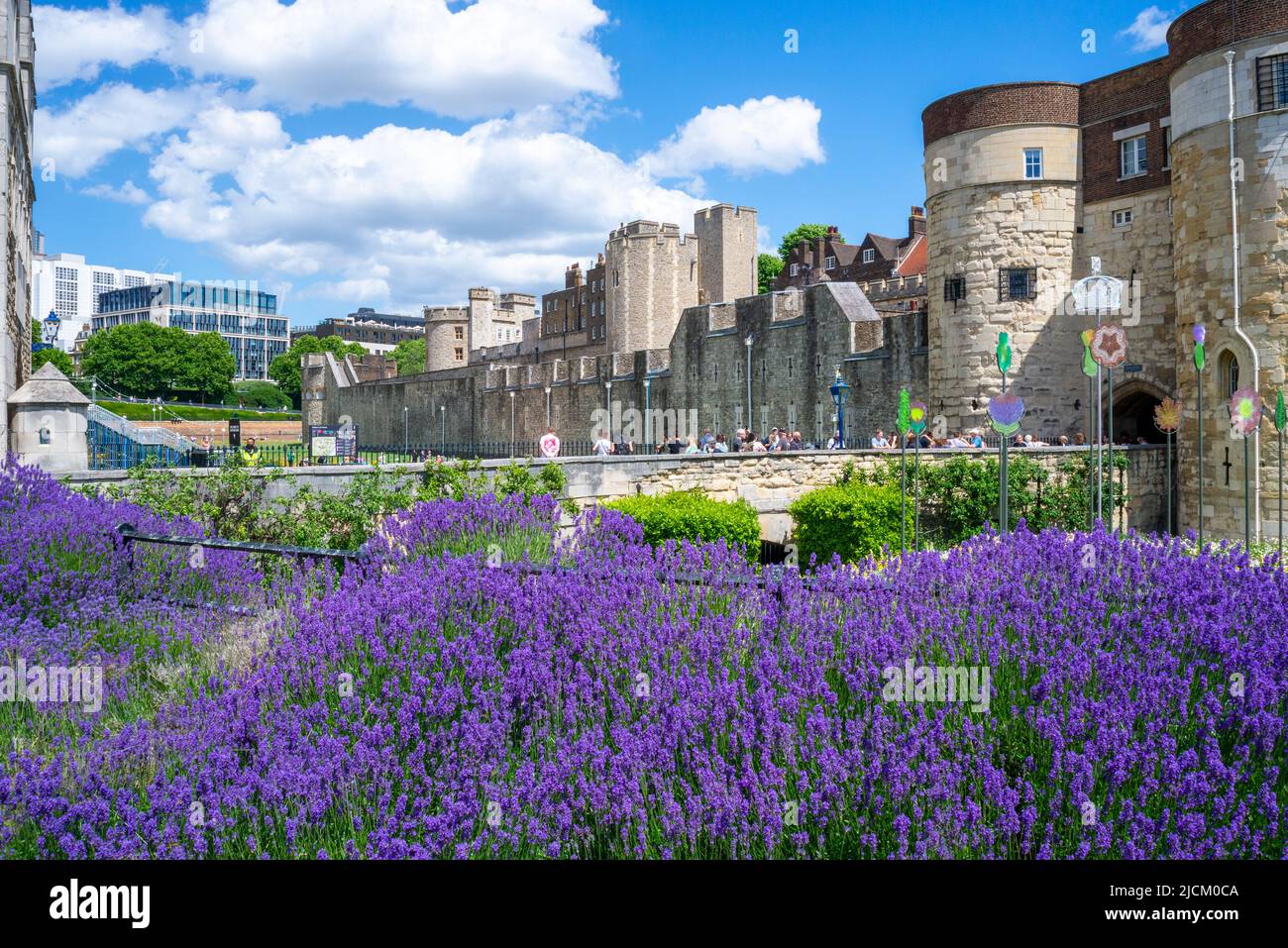 Farbenfrohe Blumen rund um den Tower of London, Tower Hill, London, Großbritannien, während der Ausstellung „Platinum Jubilee“ der Superbloom Queen. Violette Pflanzen Stockfoto