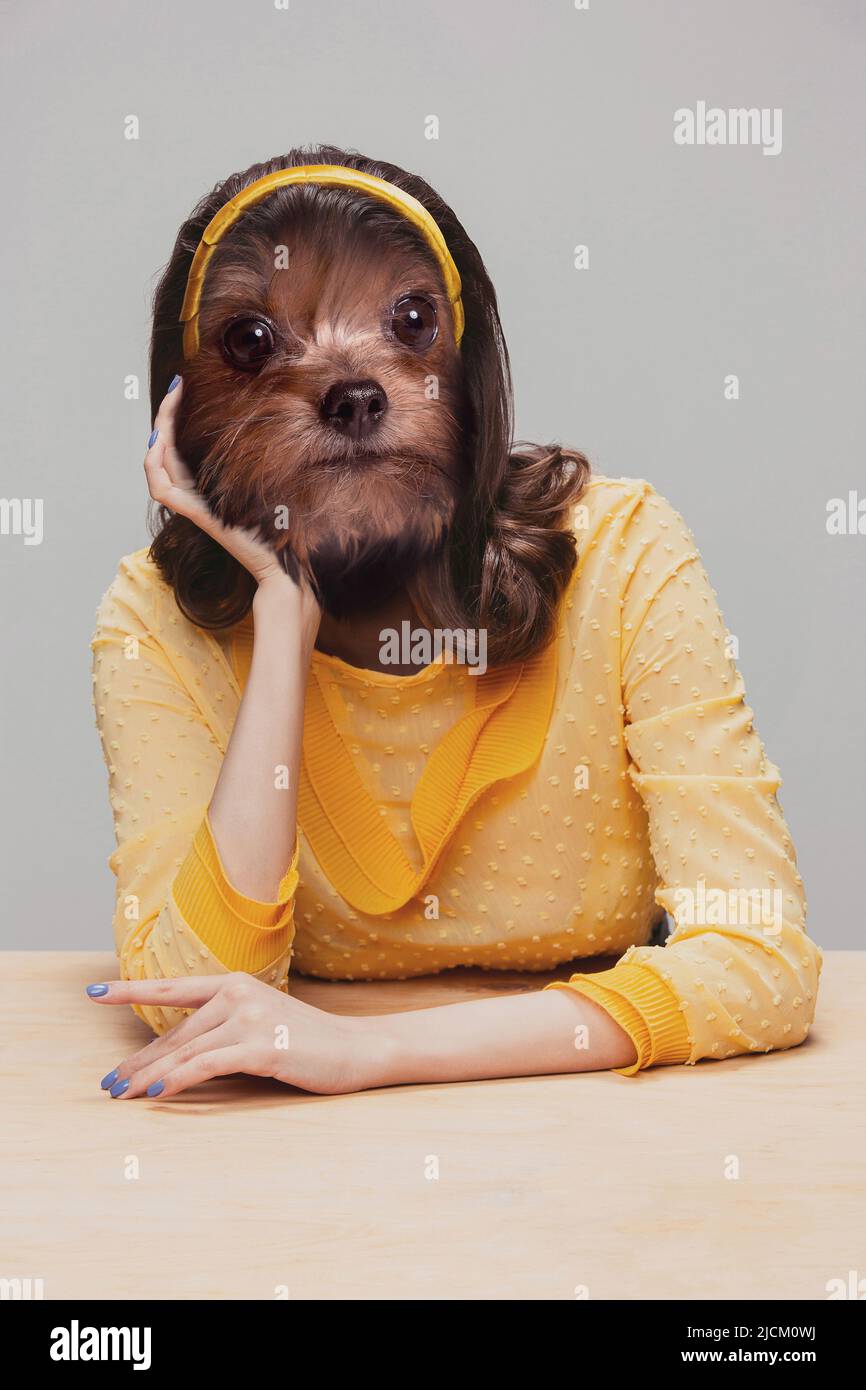 Niedliche weibliche Modell trägt im Retro-Stil Outfit von Hund Kopf isoliert auf grauem Hintergrund geführt. Vergleich von Kunst, Surrealismus, Schönheit und Kreativität Stockfoto