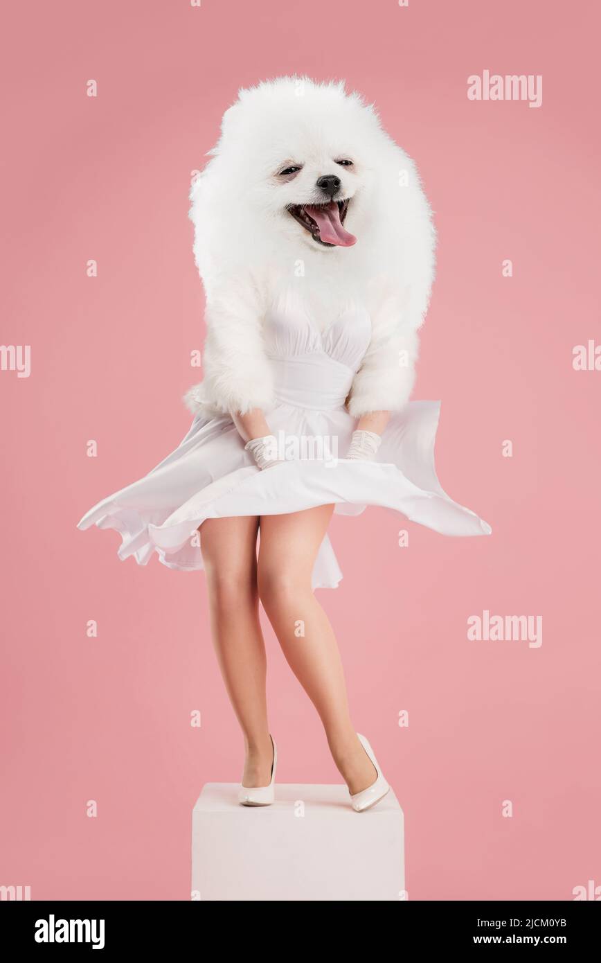 Elegante schöne weibliche Modell trägt Retro-Stil Outfit von niedlichen Hund Kopf isoliert auf rosa Hintergrund geleitet. Vergleich von Kunst, Surrealismus, Schönheit Stockfoto