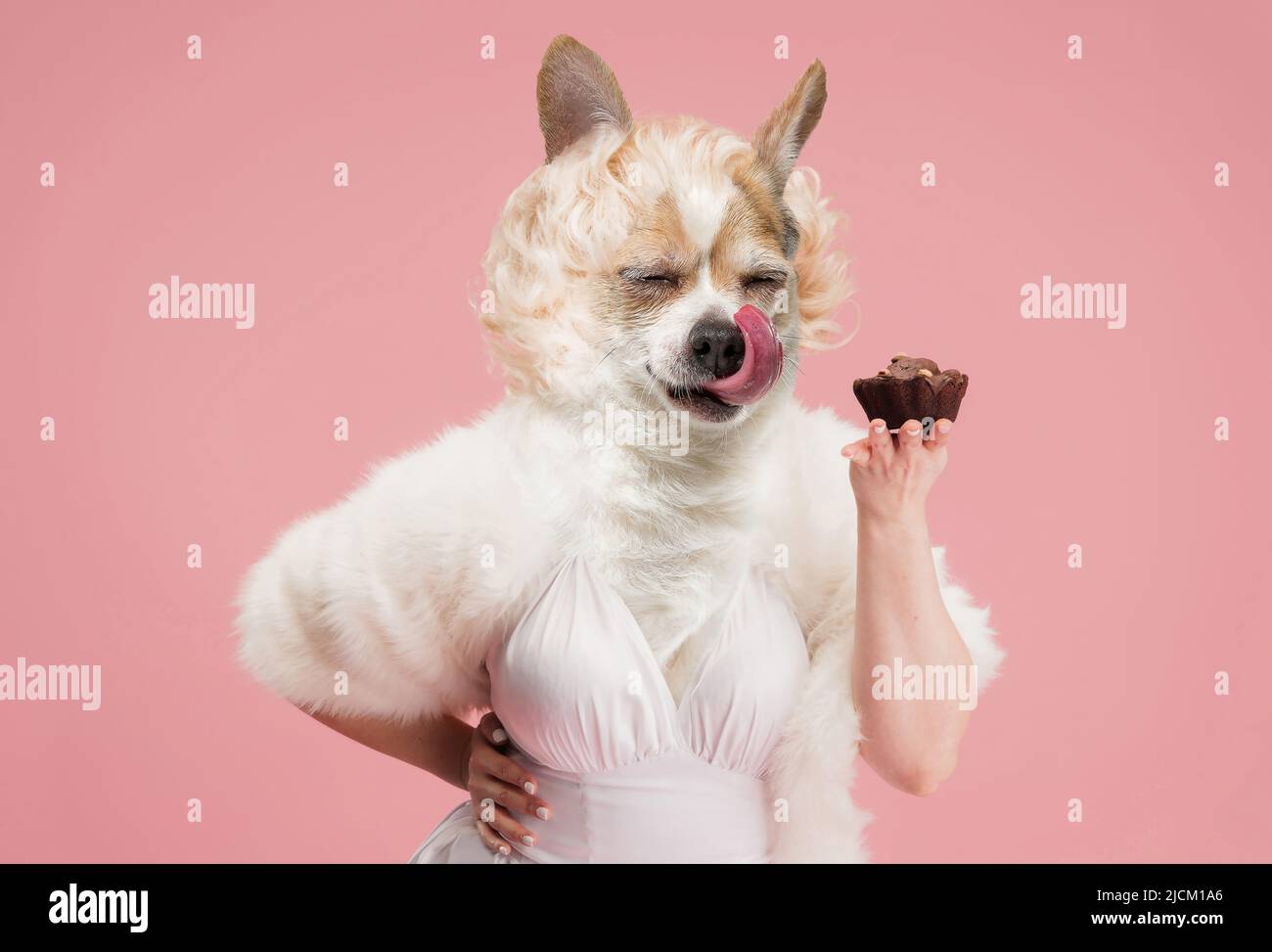 Süßigkeiten. Elegante schöne weibliche Modell trägt Retro-Stil Outfit von niedlichen Hund Kopf isoliert auf rosa Hintergrund geleitet. Vergleich von Kunst, Surrealismus Stockfoto