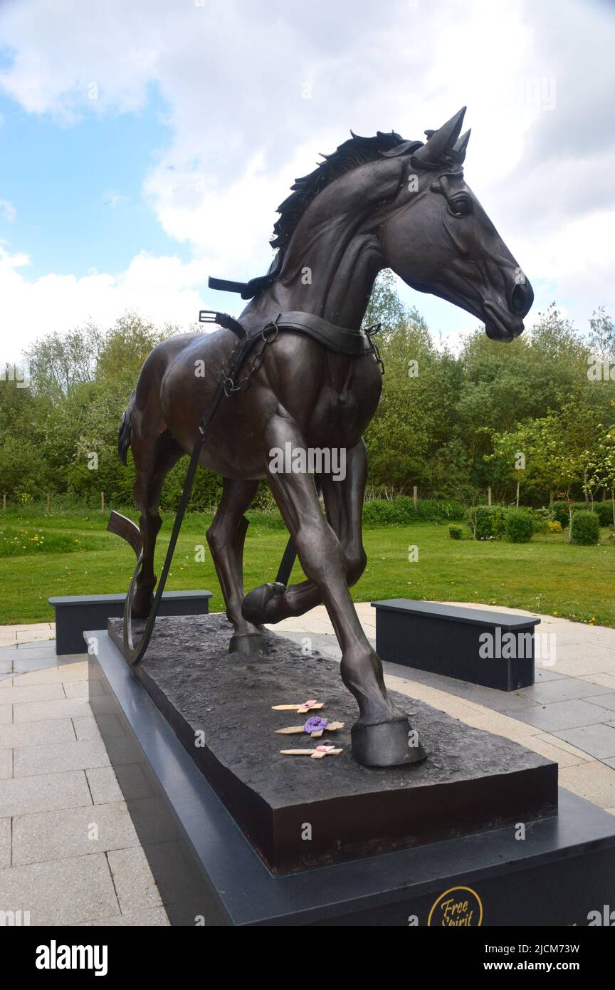 Bronzestatue war Horse 'Free Spirit' Memorial im National Memorial Arboretum, Lichfield, Staffordshire, England, Großbritannien. Stockfoto