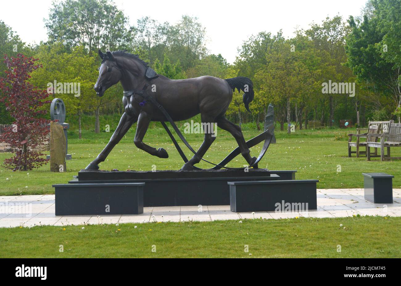 Bronzestatue war Horse 'Free Spirit' Memorial im National Memorial Arboretum, Lichfield, Staffordshire, England, Großbritannien. Stockfoto