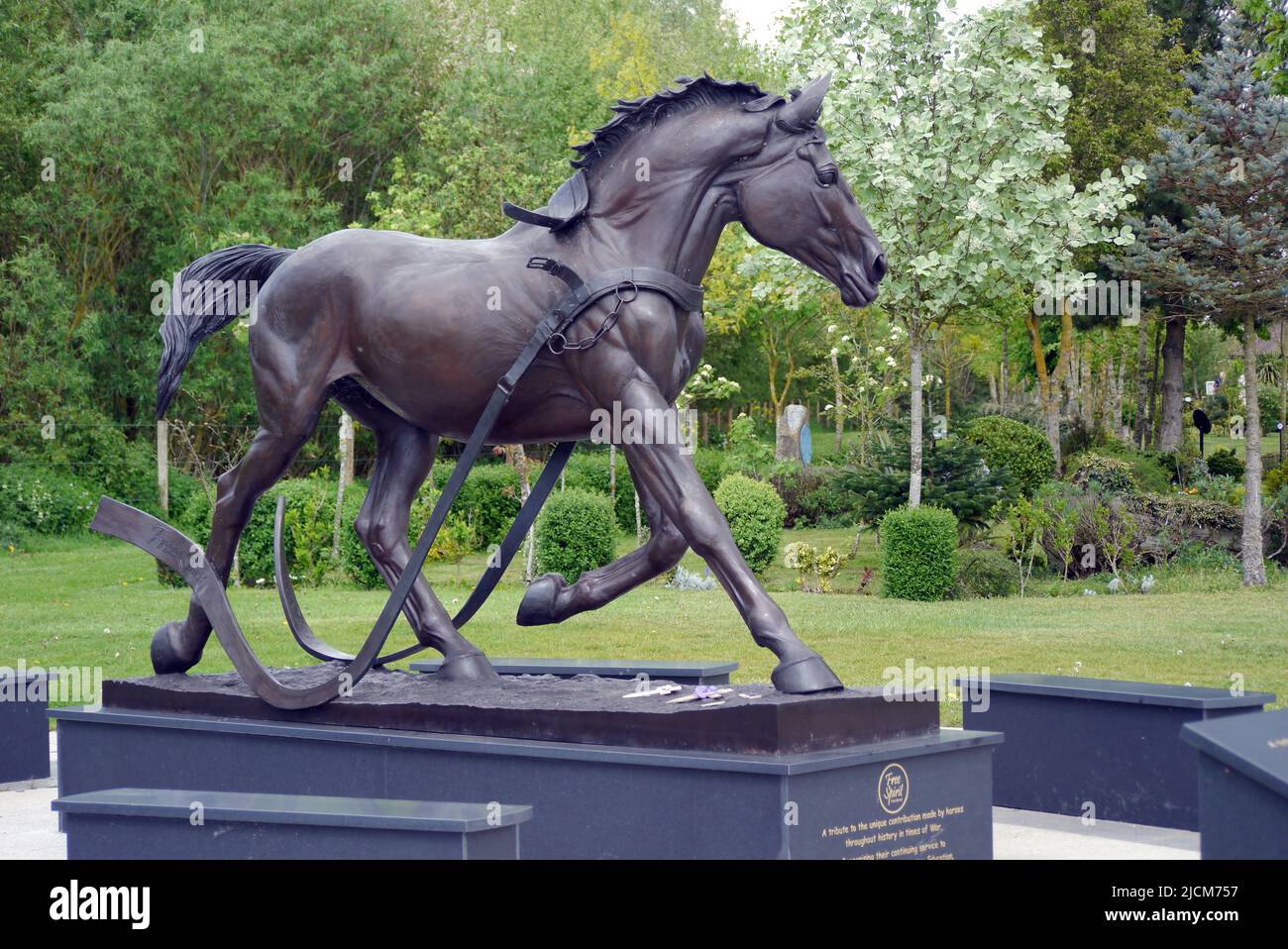Bronzestatue war Horse 'Free Spirit' Memorial im National Memorial Arboretum, Lichfield, Staffordshire, England, Großbritannien. Stockfoto