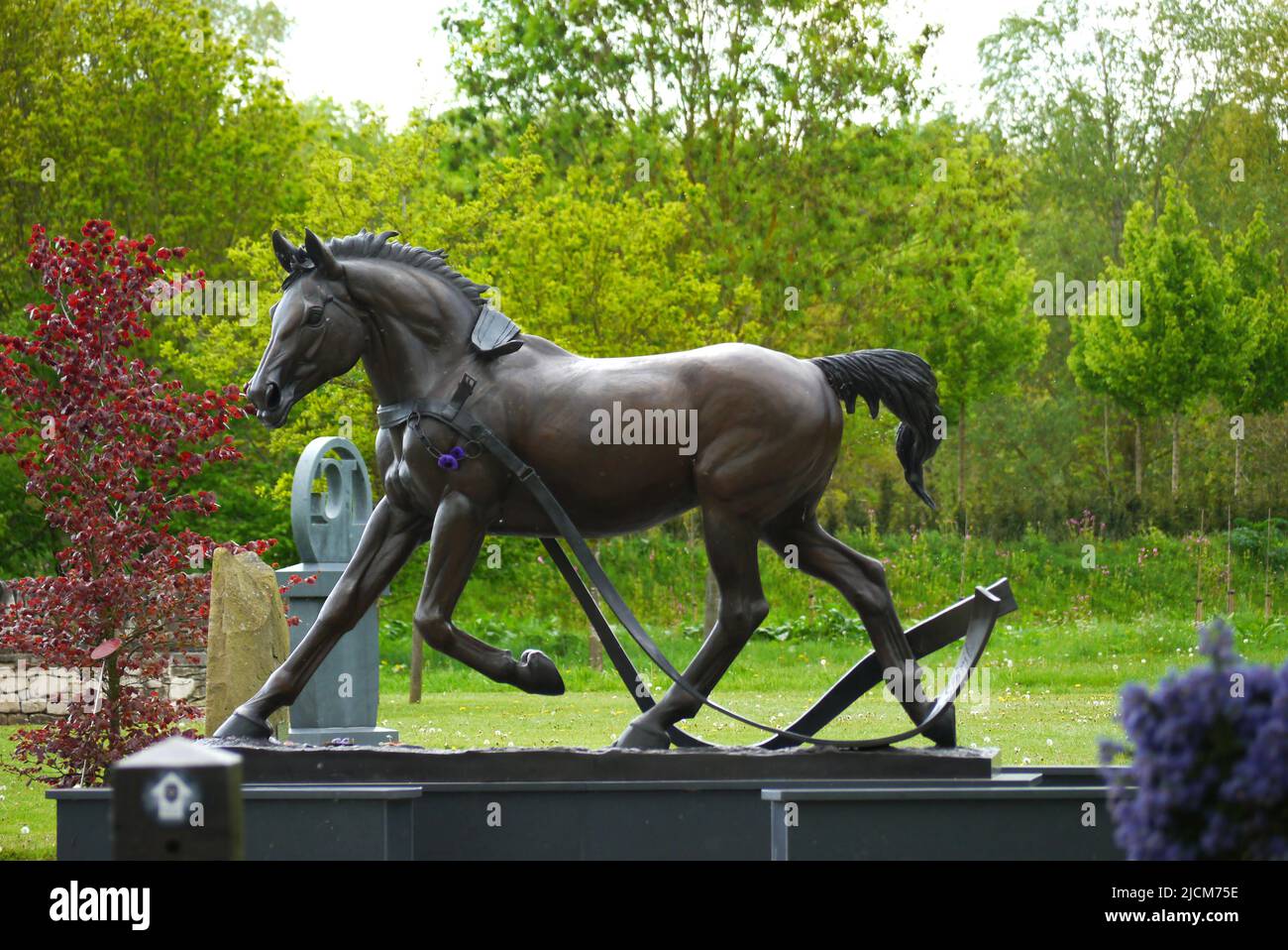 Bronzestatue war Horse 'Free Spirit' Memorial im National Memorial Arboretum, Lichfield, Staffordshire, England, Großbritannien. Stockfoto
