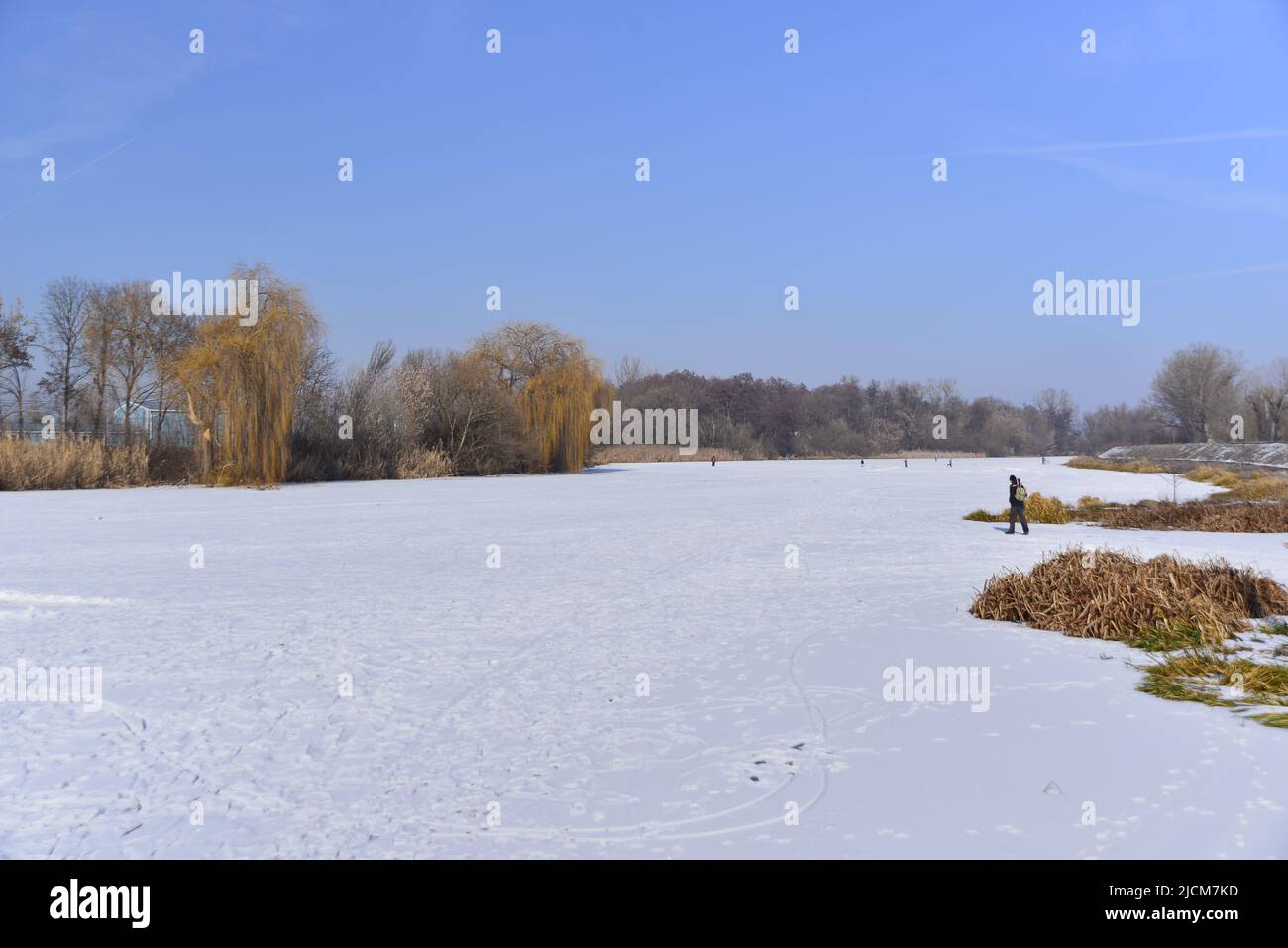 Eingeflügelter Spaziergänger im gefrorenen Fluss Stockfoto