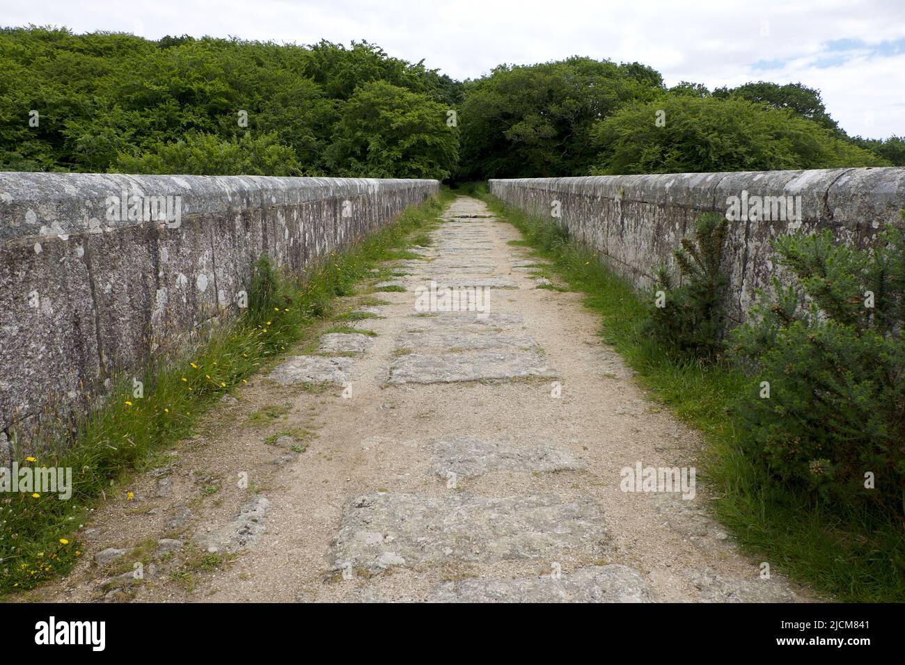 Treffry Viadukt 19. Jahrhundert Industriereste und Weltkulturerbe das Luxulyan Valley oder Glynn Gwernan Stockfoto