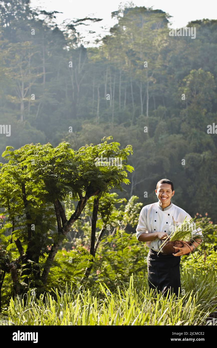 Chef nimmt Gemüse Bio Garten des Resorts in Ubud Hanging Gardens, Bali, Indonesien. Stockfoto